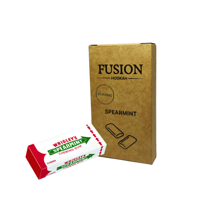 Тютюн Fusion Classic Spearmint (М'ята Жуйка, 100 г)