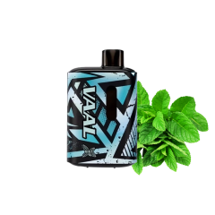 VAAL E5000 Mint (Мята) Одноразовый POD