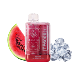 Elf Bar TE6000 Watermelon ice (Арбуз Лёд) Одноразовый POD