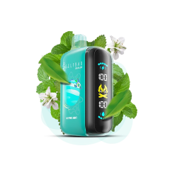 Elf Bar Raya D3 25000 Alpine Mint (Альпийская Мята) Одноразовый POD