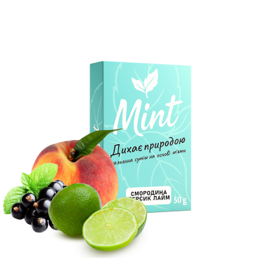 Кальянна суміш Mint Смородина Персик Лайм (50 г)