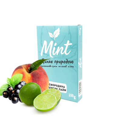 Кальянна суміш Mint Смородина Персик Лайм (100 г)