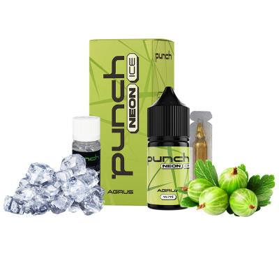 Набір для самозамішування Punch Neon Ice Agrus (Агрус Лід, 50 мг, 30 мл)