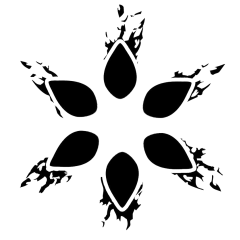 Чаші Solaris