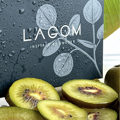 табак для кальяна Lagom Navy 40 г