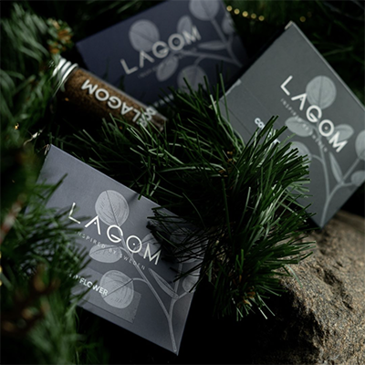 табак для кальяна Lagom Main 40 г